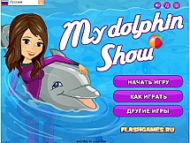 Дельфин показывает шоу